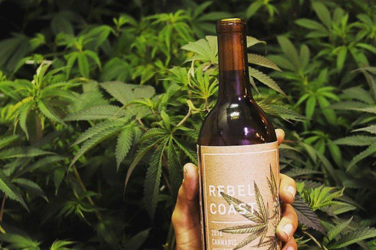 alcohol with cannabis - exclusively from California