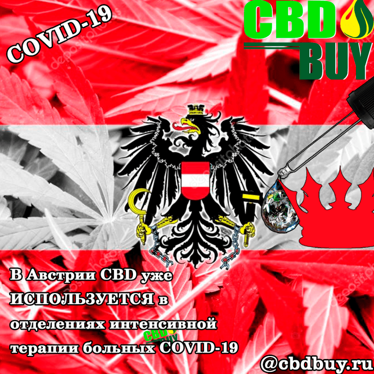 cbd, cbd oil, covid, covid19, coronavirus, cbd oil, buy cbd, cbd moscow, cbd moscow, cbd russia